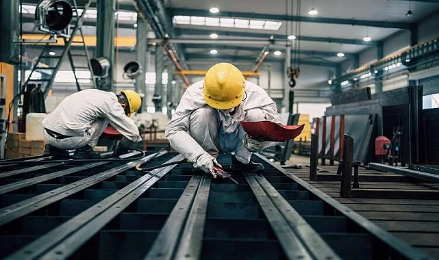 Evka 7 Fare İlaçlama